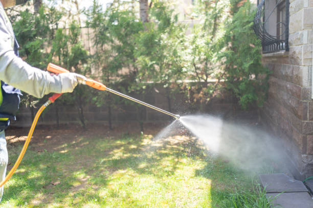 Best Best Pest Control Companies  in Tyro, NC
