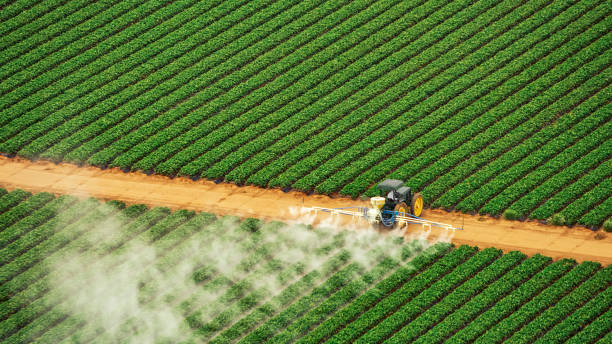 Best Commercial Pest Control Services  in Tyro, NC