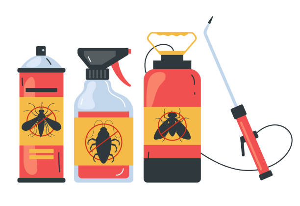 Best Spider Control Near Me  in Tyro, NC
