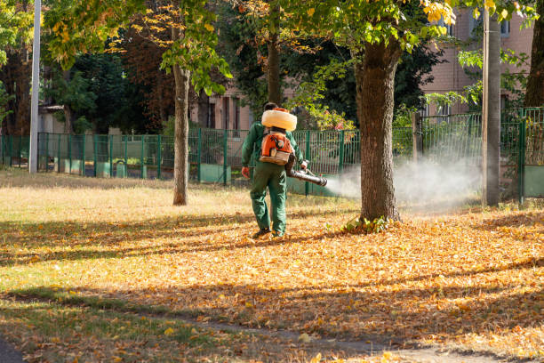 Best Rat Extermination Near Me  in Tyro, NC