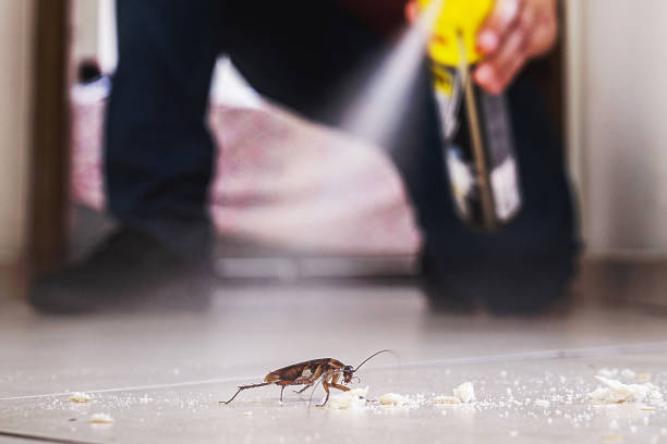 Flea Control Services in Tyro, NC