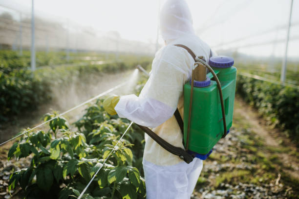 Tyro, NC Pest Control Company